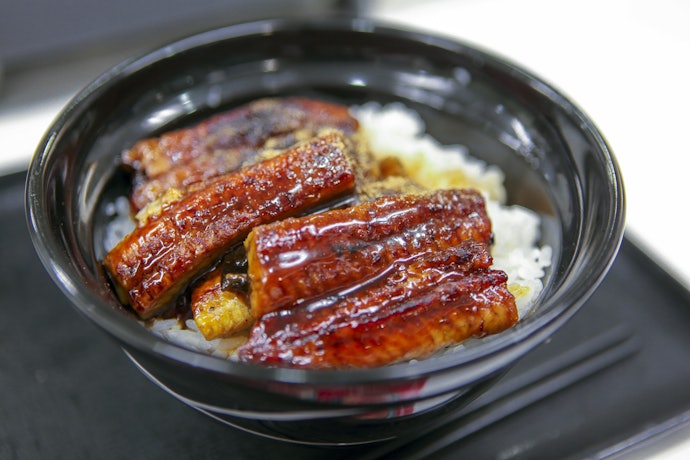 お腹いっぱい食べたいランチは「川勢」や「鳥栄」のうな丼・うな重を選ぼう
