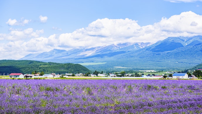 北海道・東北エリア:雄大な景色を堪能したい人におすすめ