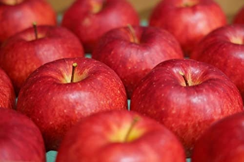 食感を楽しむなら、やや硬めの「つがる」をチョイス
