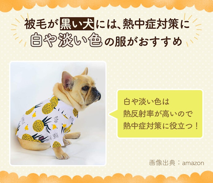 被毛が黒い犬には、熱中症対策に白や淡い色の服がおすすめ