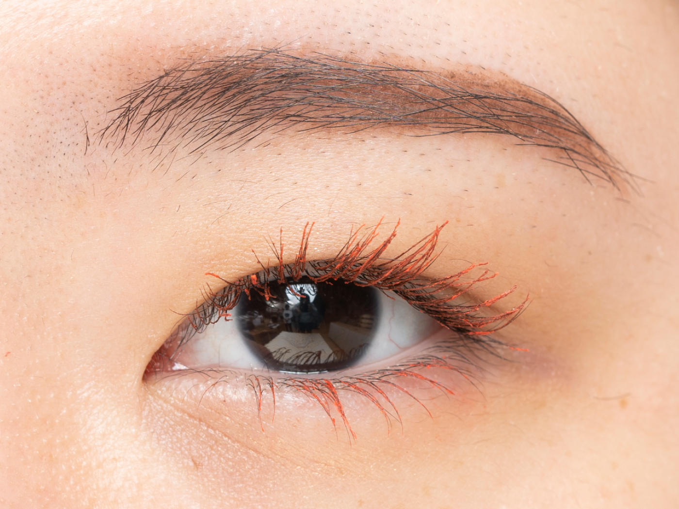 21年 カラーマスカラのおすすめ人気ランキング19選 徹底比較 Mybest