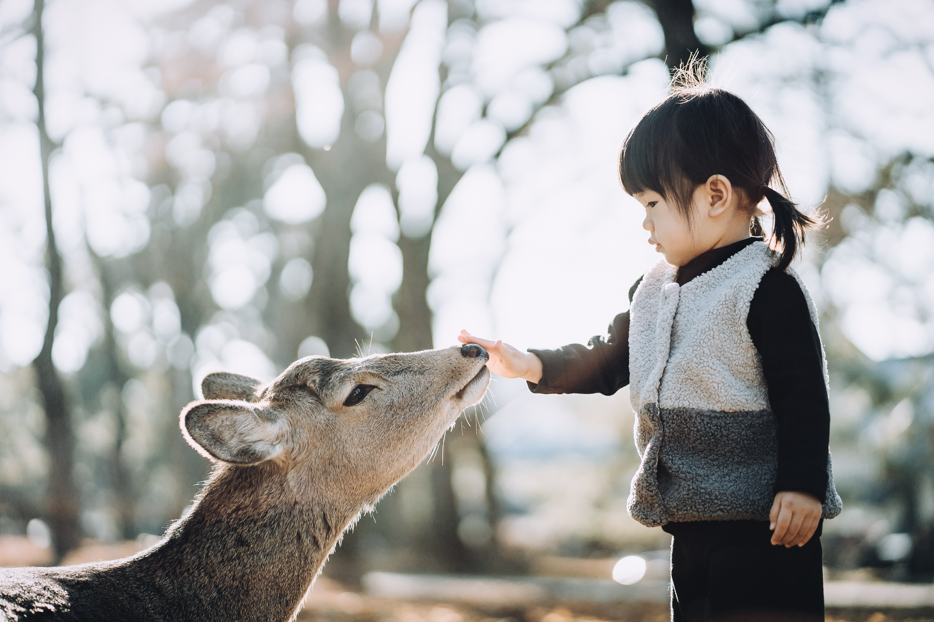 22年 子連れ 赤ちゃん連れ向け国内旅行先のおすすめ人気ランキング選 Mybest