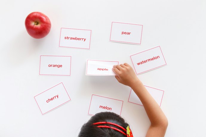 話すのが楽しくなる3~5歳:動物・国名・食べ物テーマで動詞や形容詞にもトライ
