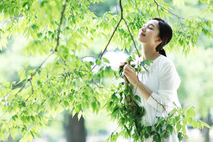 落ち着きのある大人な香りを求めるならウッディ系