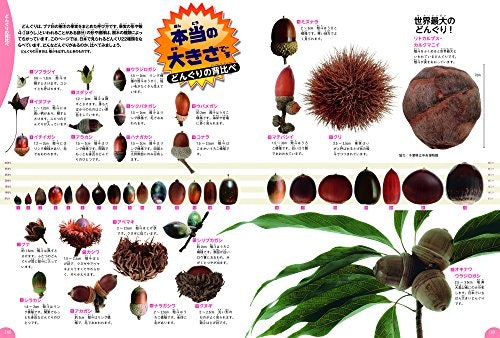 子ども向けなら、文字のわかりやすさや内容の親しみやすさが大切
