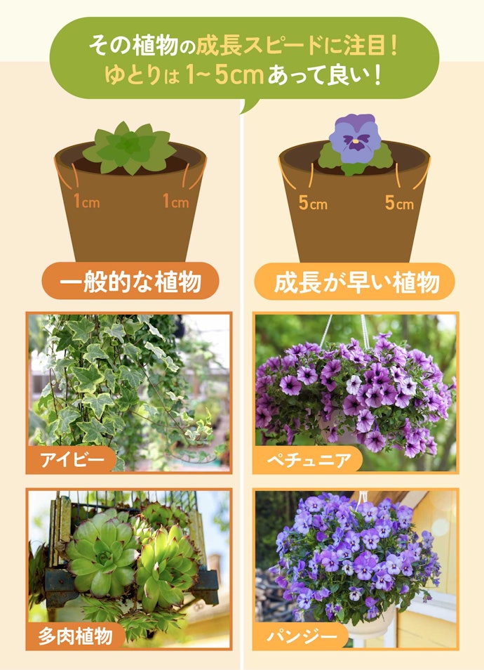 1株を楽しむなら、まわりに1〜5cmのゆとりあるサイズを選ぼう