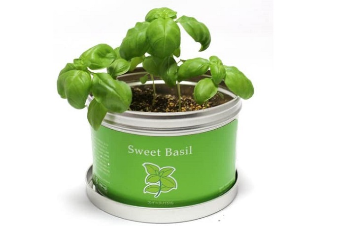 22年 ハーブ初心者向け栽培キットのおすすめ人気ランキング12選 Mybest