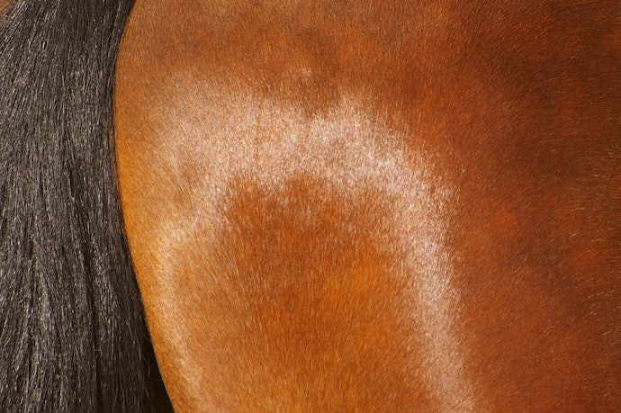 馬革:薄くて柔らかく、足によくなじむ