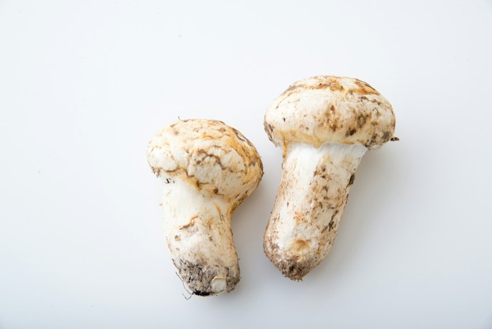 天ぷらなどに!肉厚さを活かした料理にはアメリカ・カナダ産