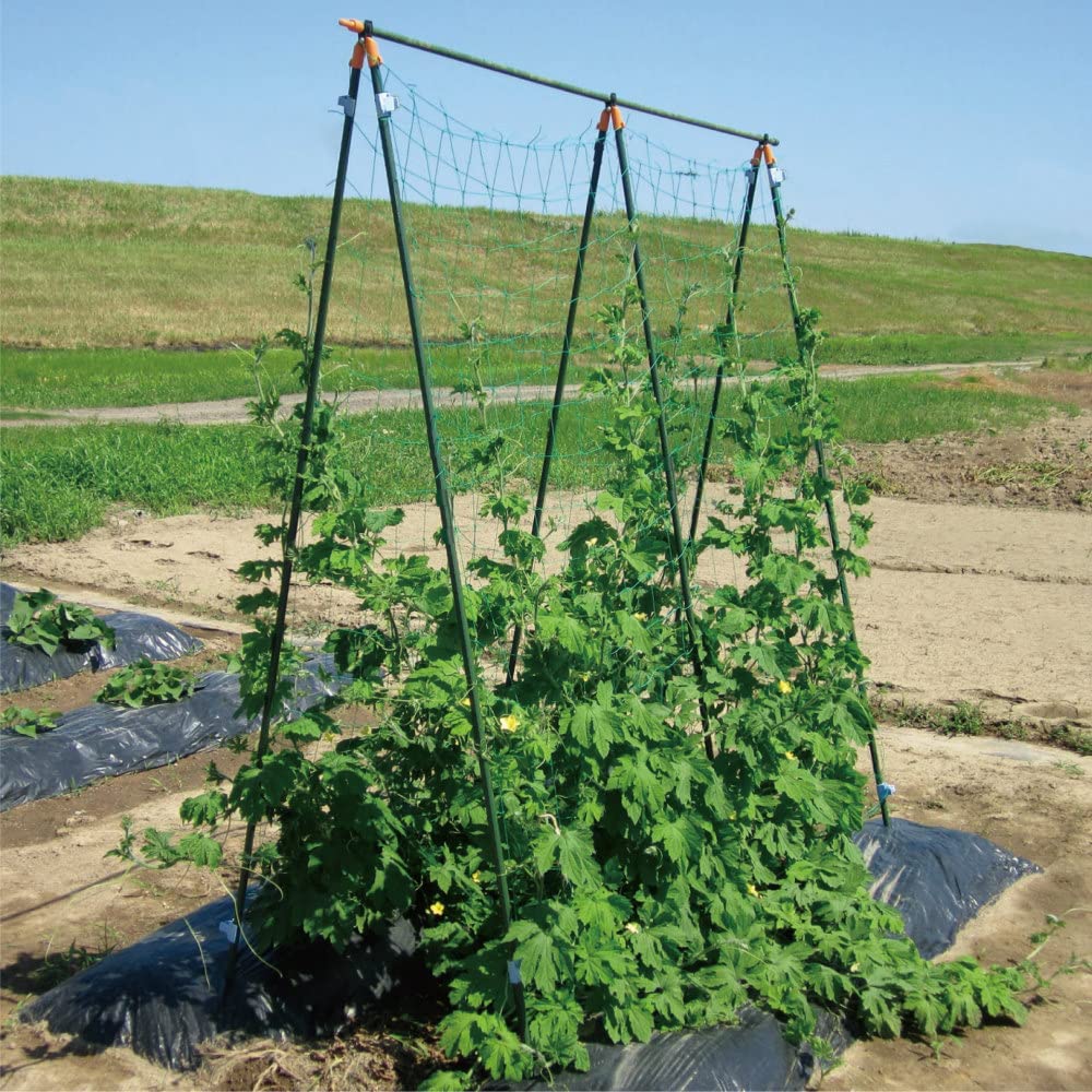 ガーデニング用支柱のおすすめ人気ランキング【2026年2月】 | マイベスト