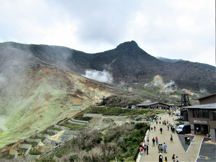 箱根温泉:美しい自然の景色を楽しみたい人にぴったり。富士山が見える宿も