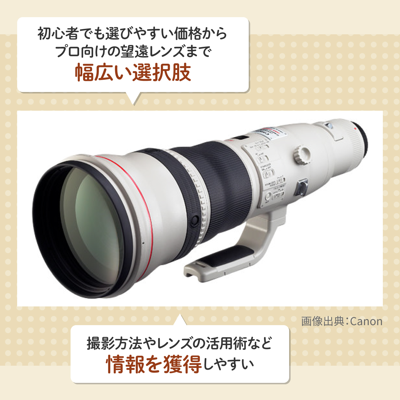 キャノンの望遠レンズです。現在も野鳥撮影に使っています。