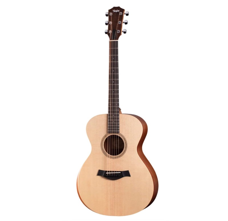 3月中 Taylor A10e エレアコ