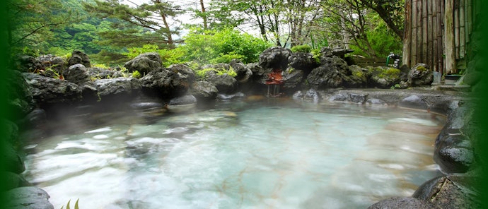 ホテル・旅館タイプ:温泉やレストランがある宿が多数。アクセスも便利