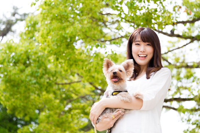ペットと泊まる宿は利用規約を確認してから予約しよう