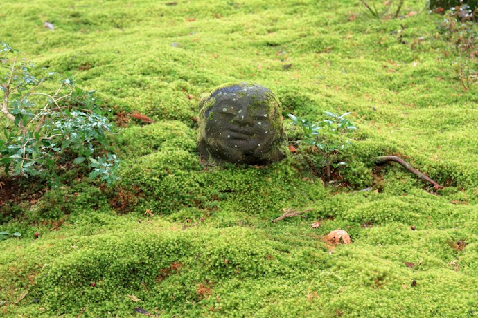 洛北:自然をゆったり感じたい人向け。鞍馬山や三千院の四季折々の景色も魅力