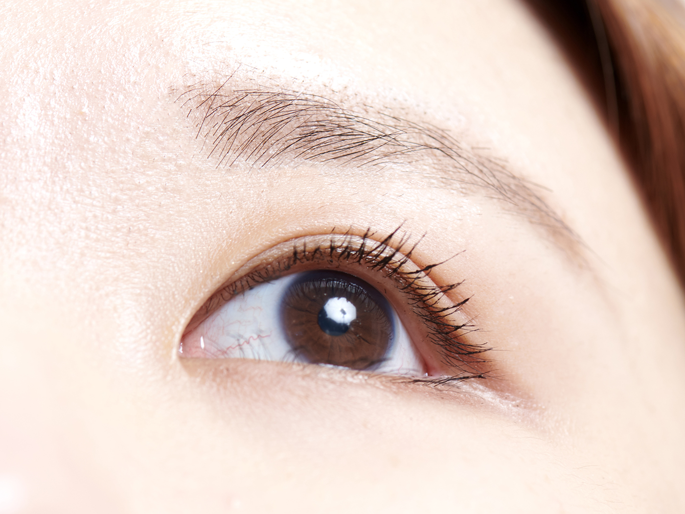 21年 マスカラのおすすめ人気ランキング44選 徹底比較 Mybest