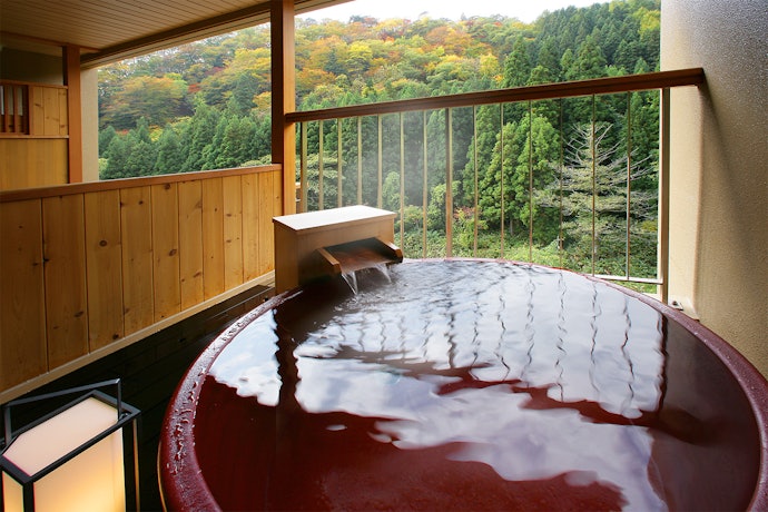 雄大な自然や冬景色を楽しみたい人は「北海道・東北」エリアをチェック