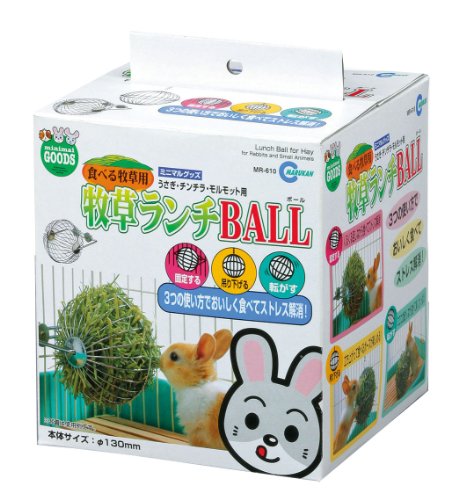 b902464c45f2aae03d4982636ab4ea