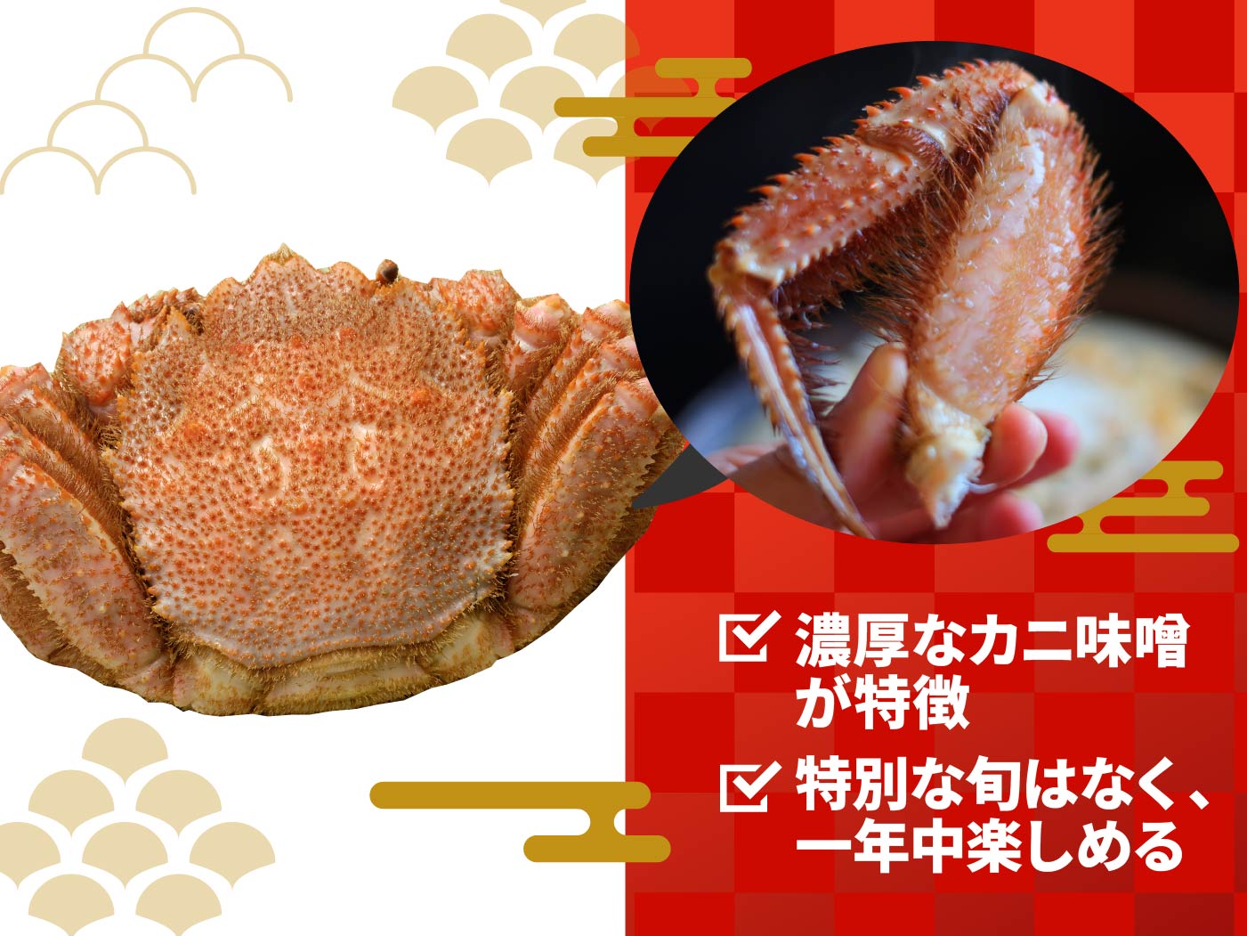 カニ味噌好きは必見。濃厚な味噌を味わいたいなら「毛ガニ」