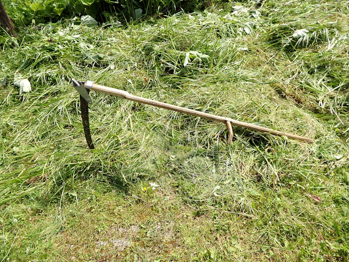 茎の長い雑草の除去には「長柄刈払鎌」が便利
