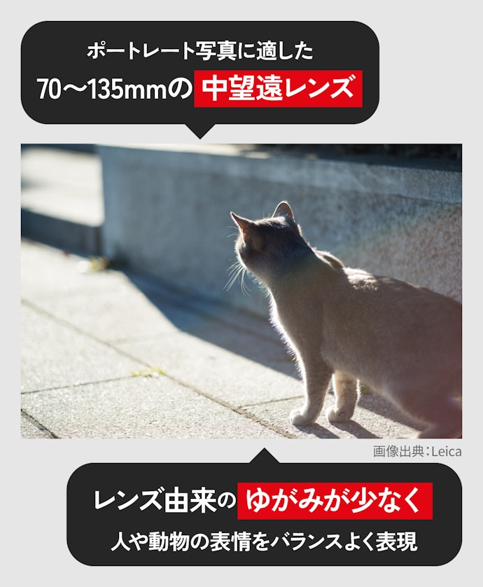 ゆがみが少ない中望遠レンズは、ポートレート撮影にぴったり