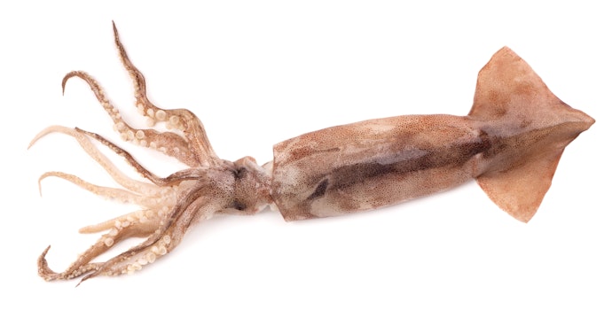 食感を存分に堪能したいなら、ナンコツ使用のものを