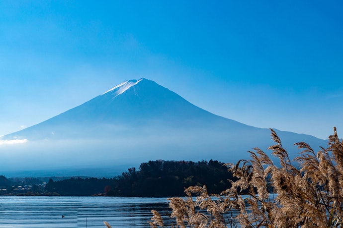 富士山周辺の観光やアクティビティを重視する人は河口湖エリアに注目