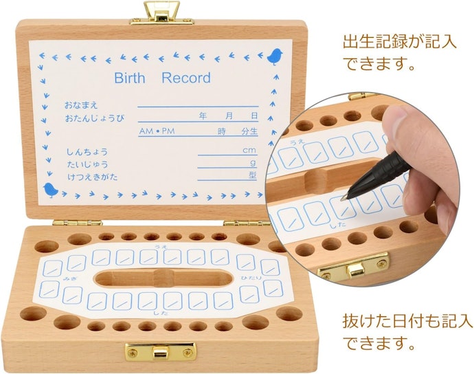 成長記録を残したいなら、すべての歯を個別に保管できるものを選択