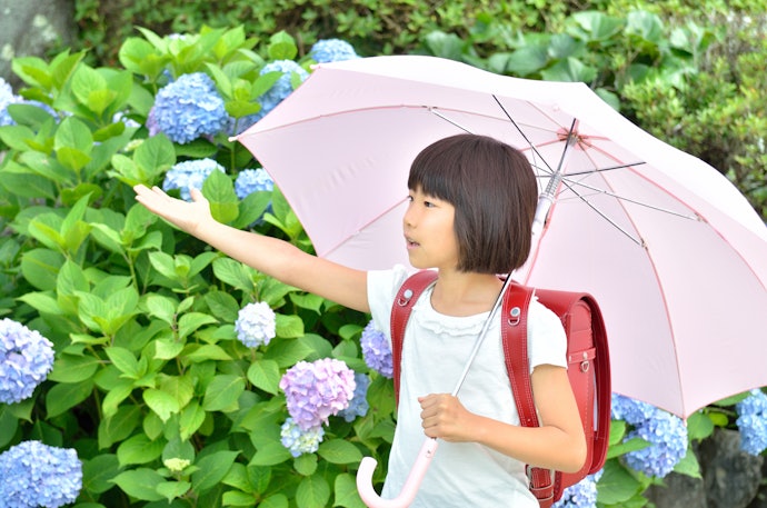 雨を防ぐためなら、フルカバー型を
