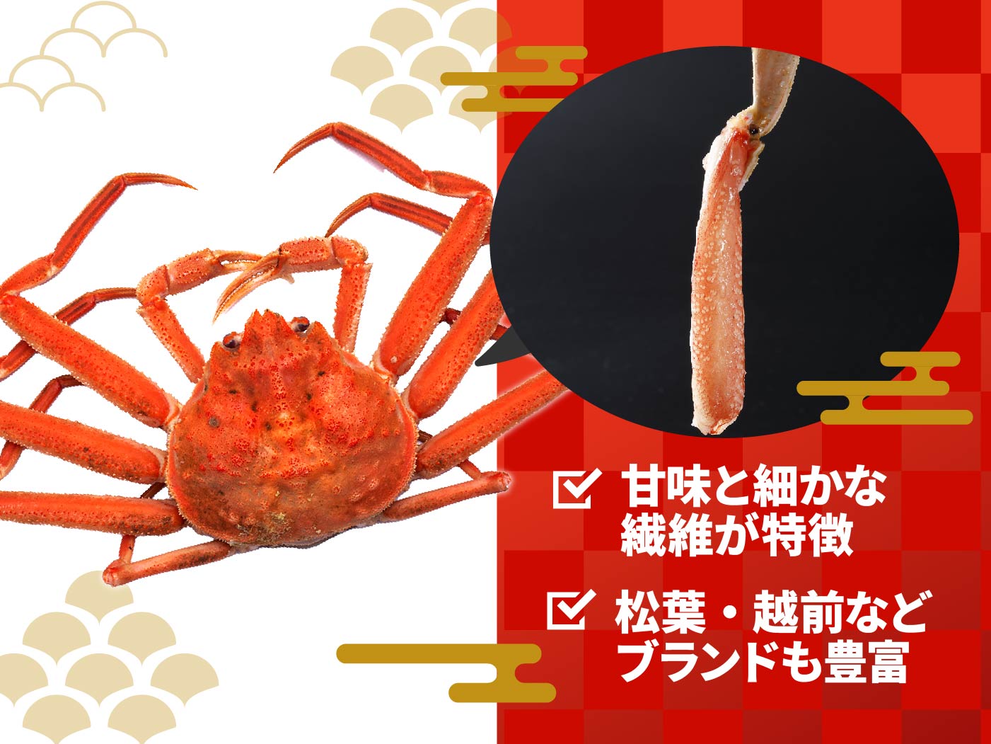身が甘いカニを食べたいなら「ズワイガニ」。ブランドガニなら高級ギフトに使われることも