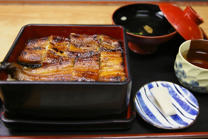 うな重をじっくり味わうなら「吉田屋」や「うなぎ本丸」がおすすめ
