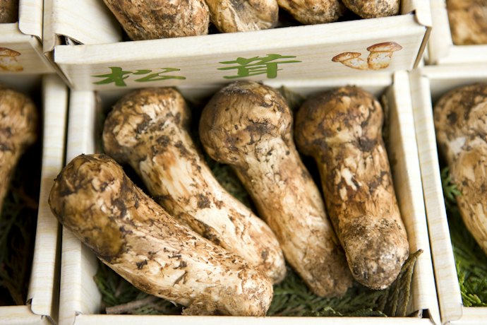 旬の時期限定!すぐに味わうなら天然松茸がぴったり