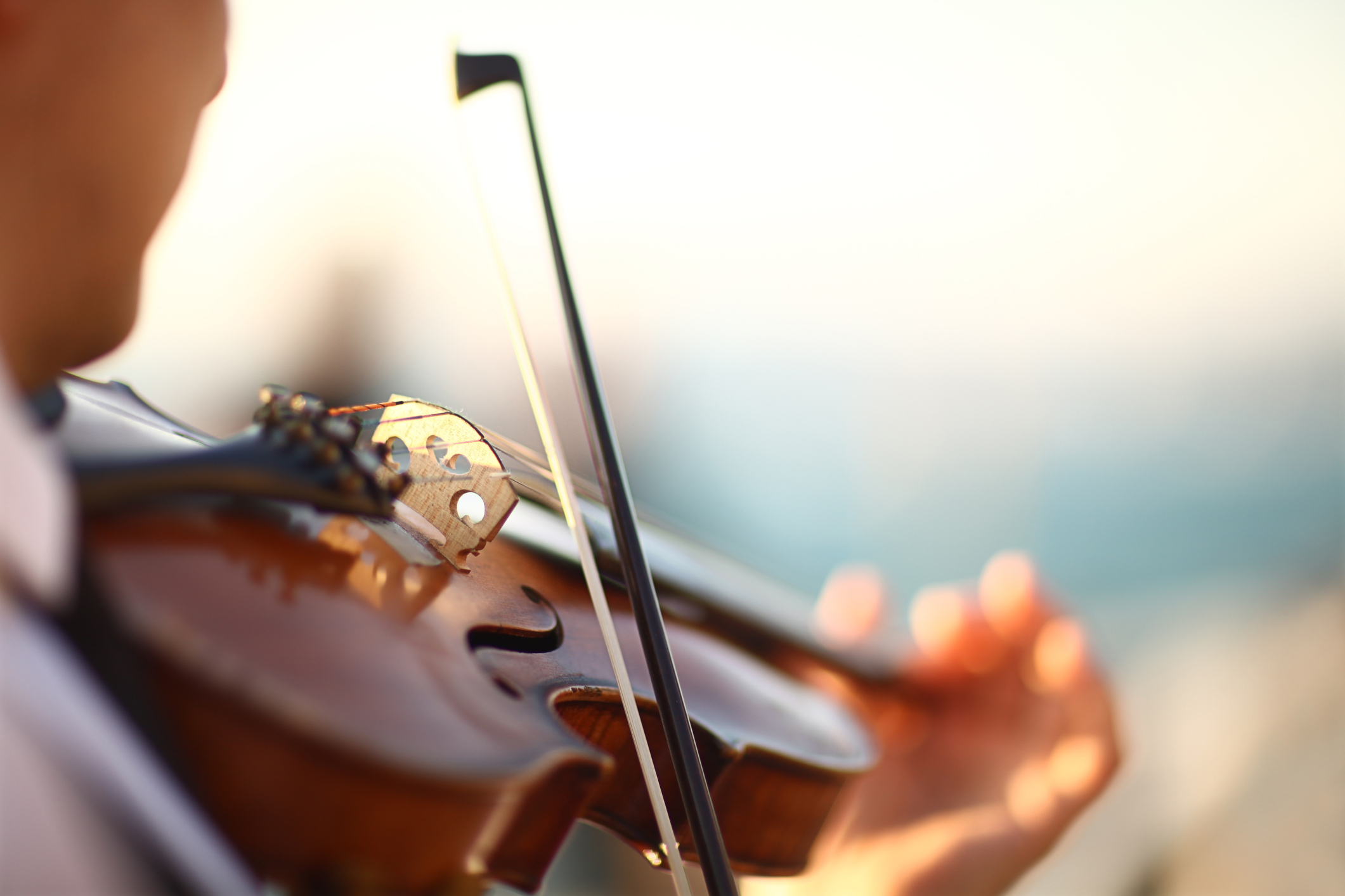 2023年】バイオリン弓のおすすめ人気ランキング30選 | mybest