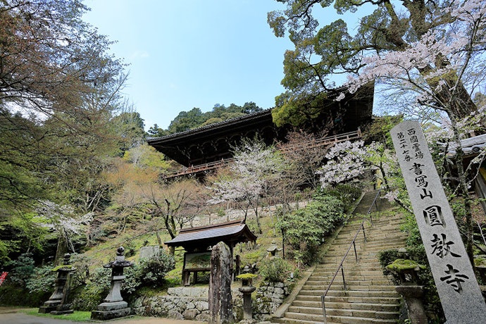 お寺巡りや歴史が好きな人には「書写」エリア