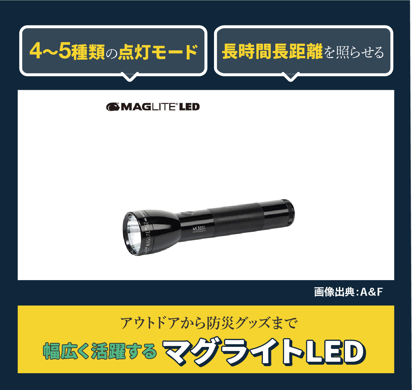 となりのトトロ マグライト USA 懐中電灯 革製