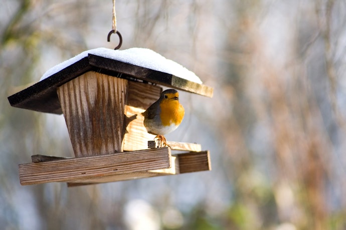 処分が簡単で初心者にもおすすめの「木製」