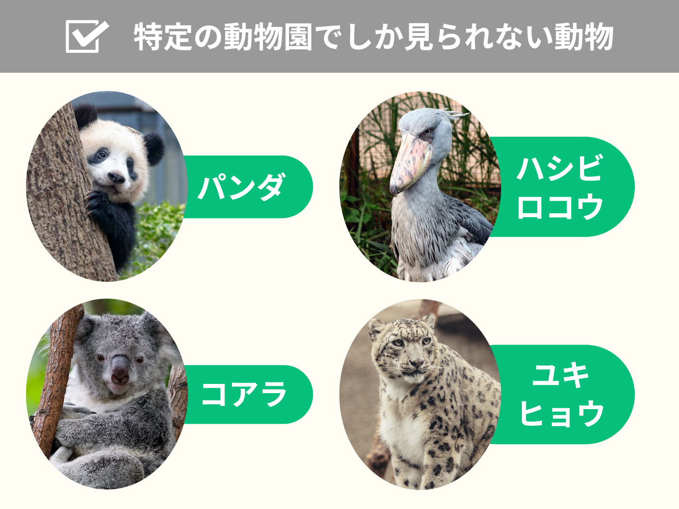 22年 東京都内の動物園のおすすめ人気ランキング17選 Mybest