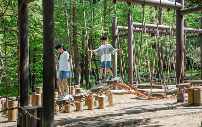 ファミリーで利用するならアスレチックや公園のあるコテージがおすすめ