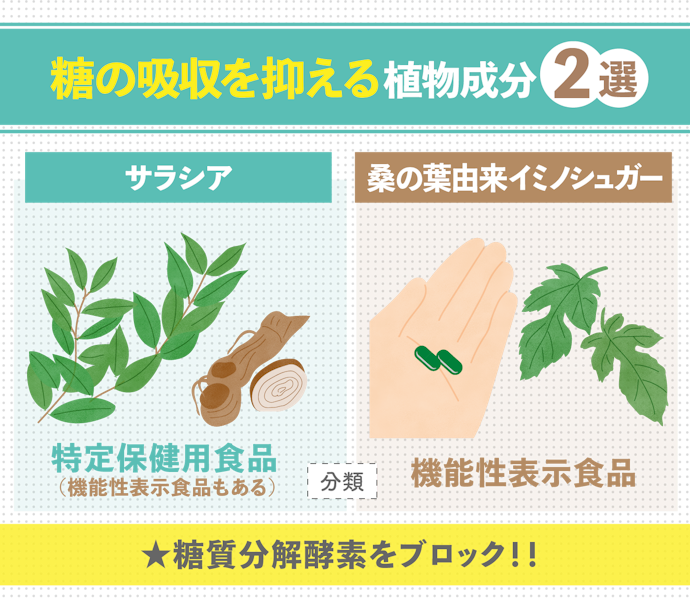 【サラシア由来成分】【桑の葉由来イミノシュガー】糖質を摂りすぎてしまう人に