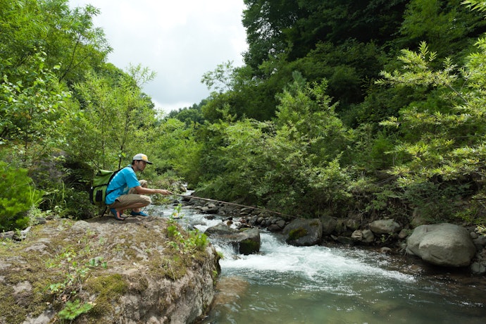山奥の釣りに特化した源流竿
