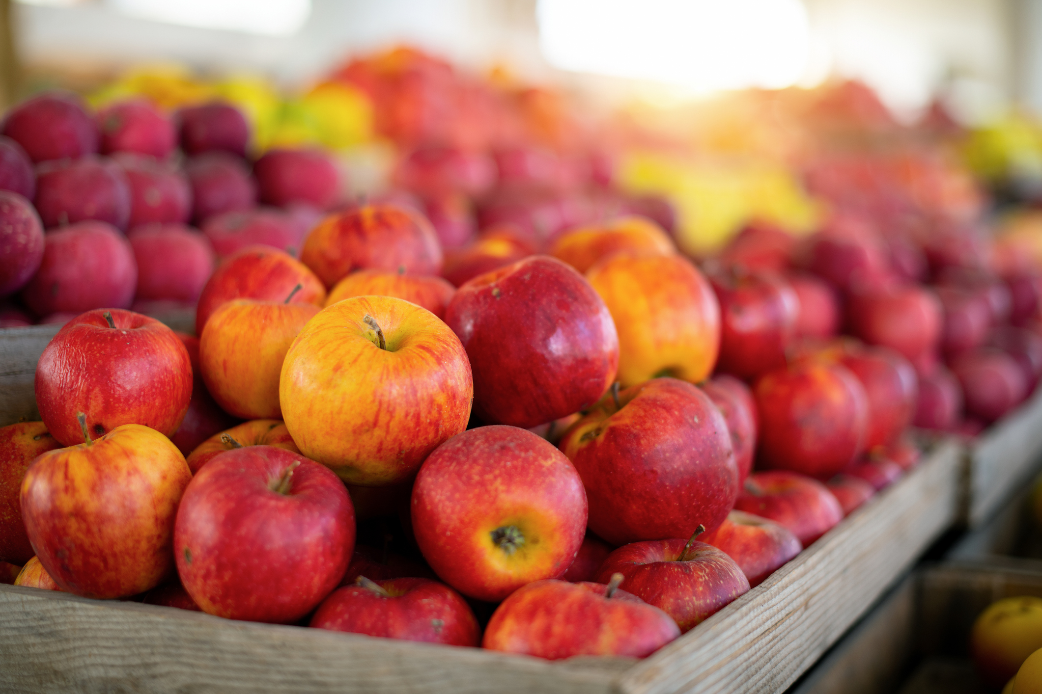 2022年】りんごのふるさと納税返礼品のおすすめ人気ランキング10選 | mybest