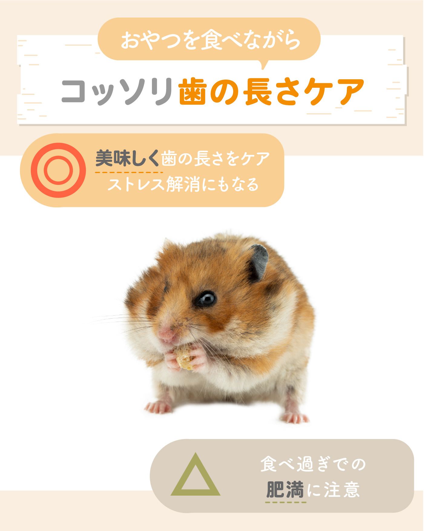 かじり木のおすすめ人気ランキング【ハムスター・うさぎ・デグーにも