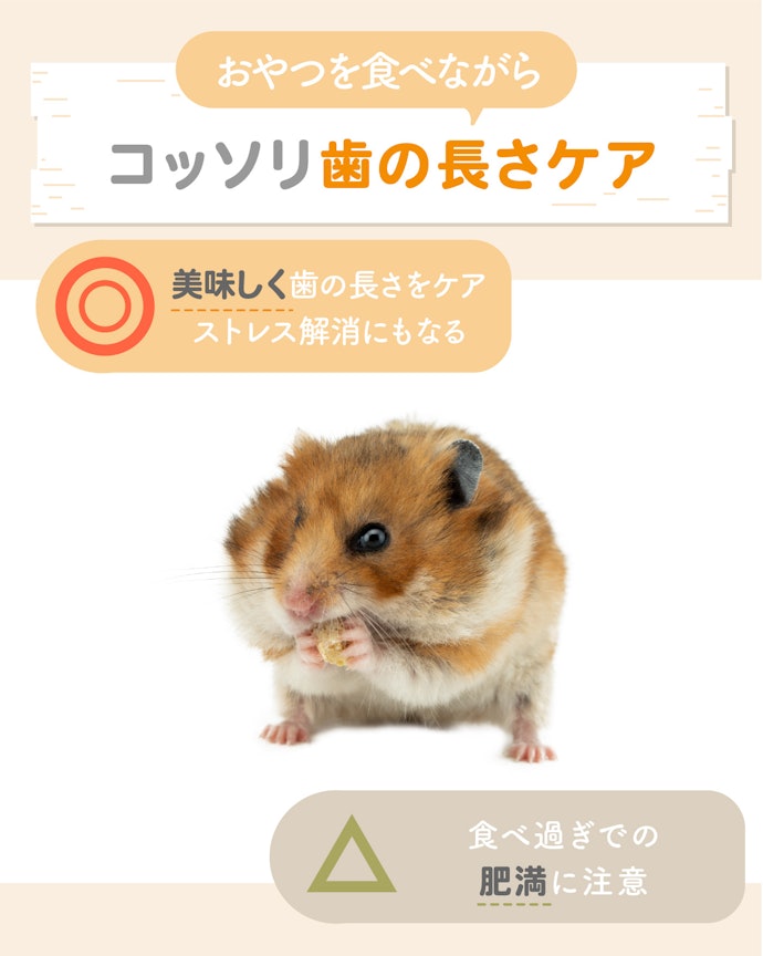 通常のかじり木を噛まないなら、おやつタイプ
