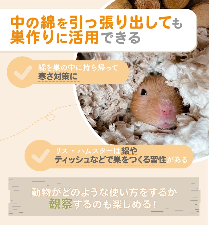 巣作りするなら綿の木の実タイプを試そう
