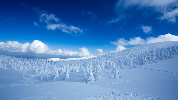 雄大な景色を堪能したいなら北海道・東北エリアがうってつけ