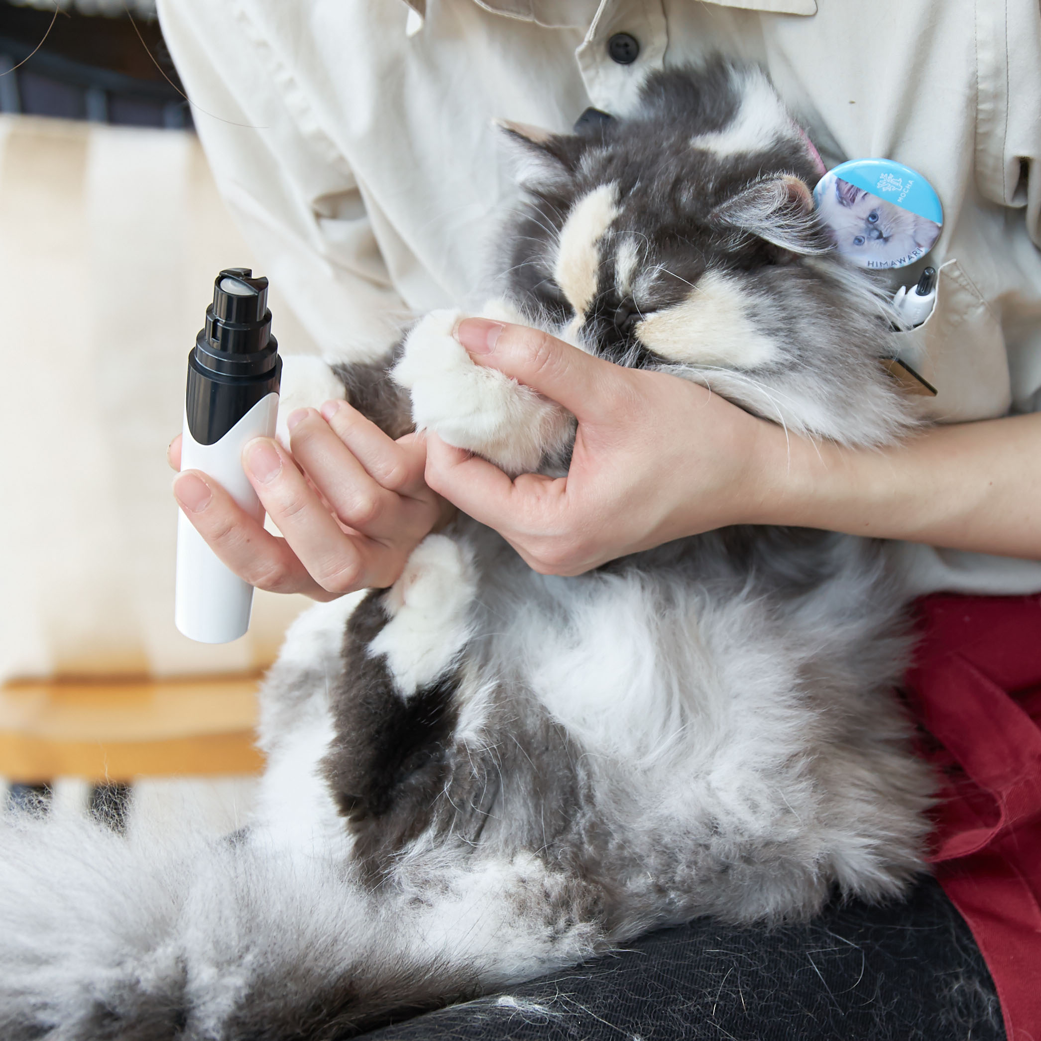 徹底比較 猫用爪切りのおすすめ人気ランキング10選 Mybest