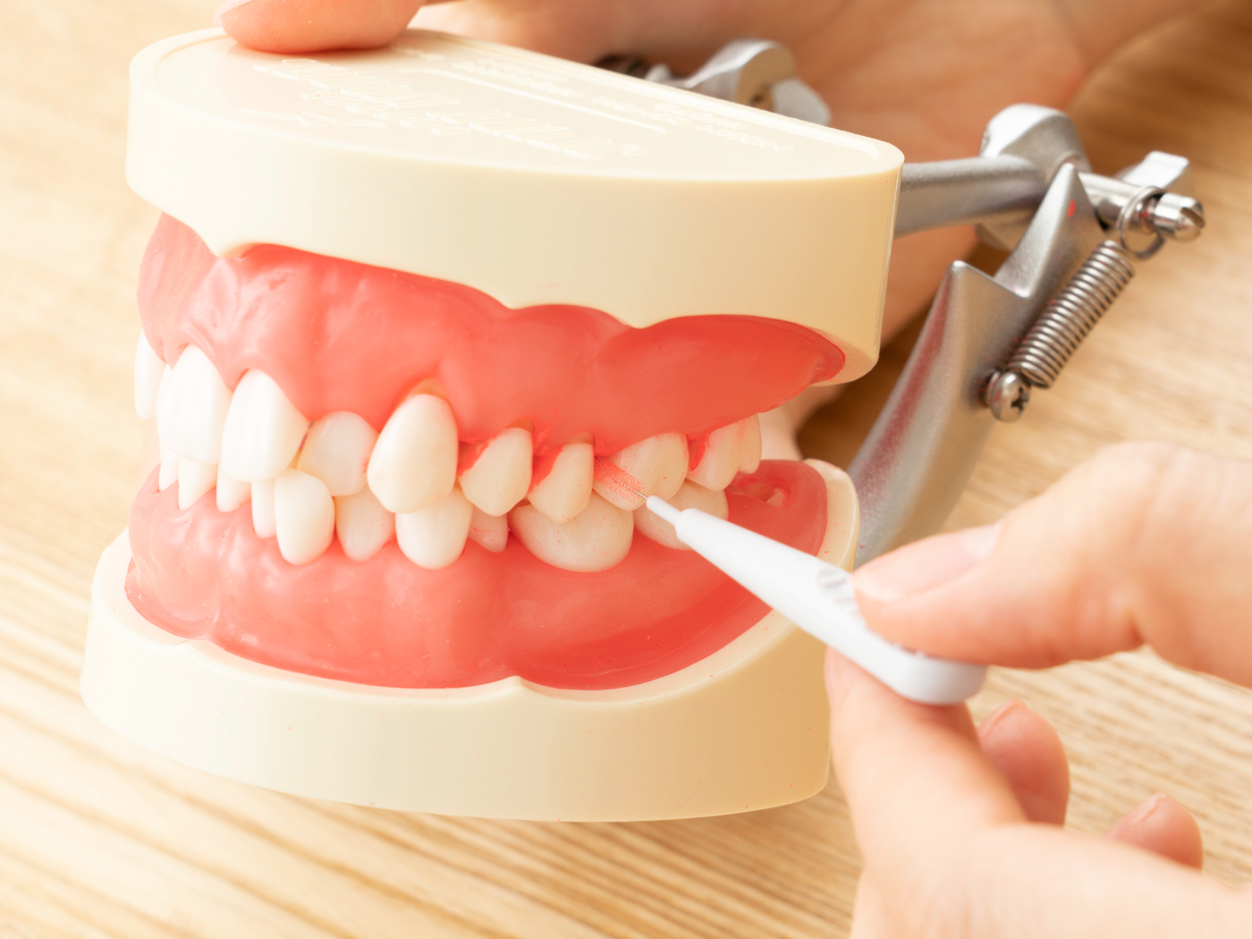 徹底比較 歯間ブラシのおすすめ人気ランキング42選 21年最新版 Mybest