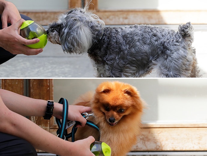 徹底比較 犬用おもちゃのおすすめ人気ランキング15選 ボール ぬいぐるみ 知育玩具も Mybest