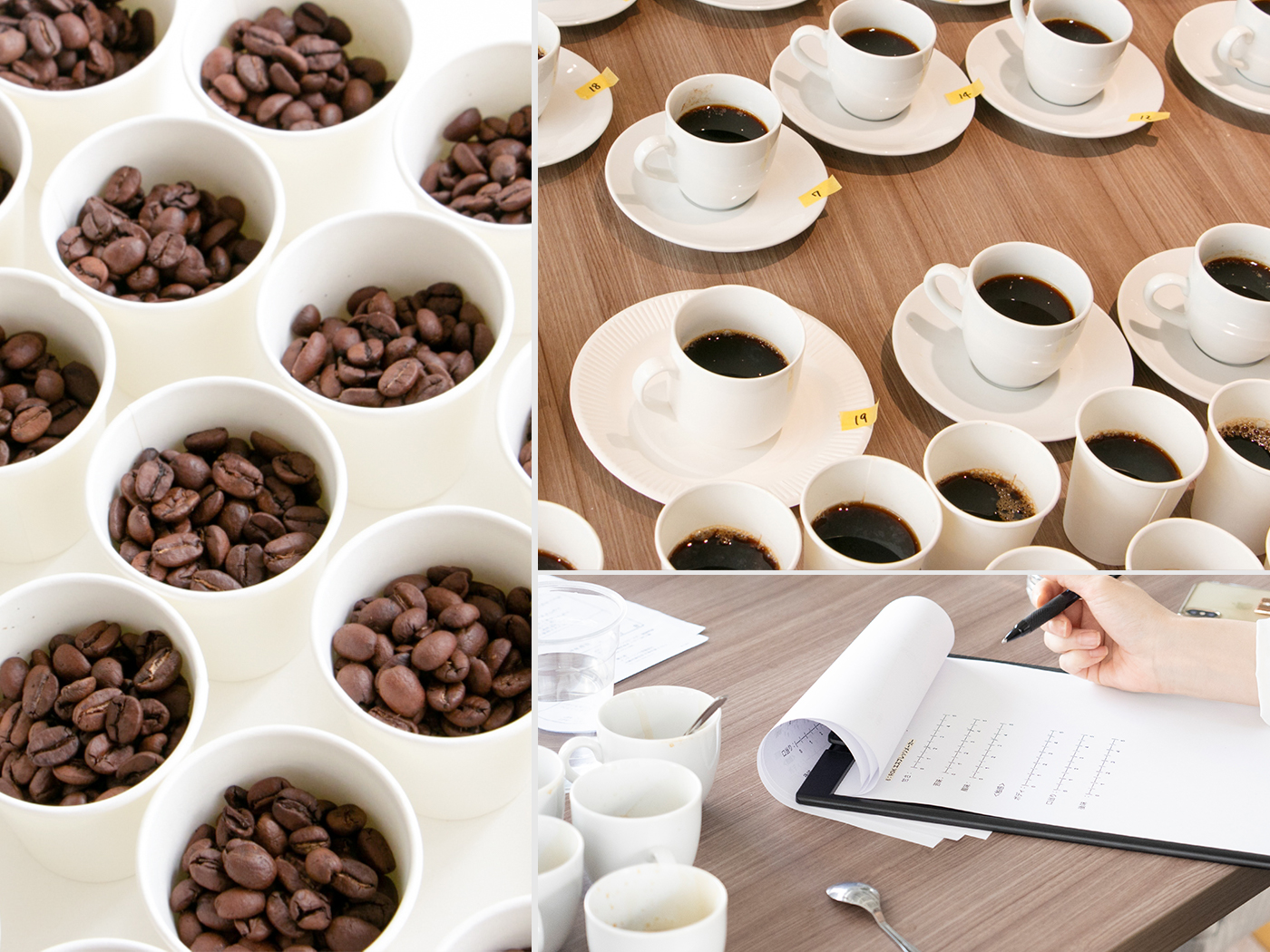 徹底比較 家庭用エスプレッソマシンのおすすめ人気ランキング6選 21年最新版 Mybest